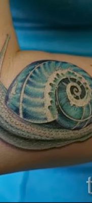 csigatetoválás fotó - példa a tetoválásra a tetoválás jelentését bemutató cikkhez - tatufoto.ru - 50