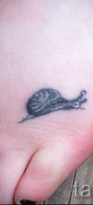 csigatetoválás fotó - példa a tetoválásra a tetoválás jelentését bemutató cikkhez - tatufoto.ru - 48