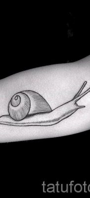 csigatetoválás fotó - példa a tetoválásra a tetoválás jelentését bemutató cikkhez - tatufoto.ru - 47