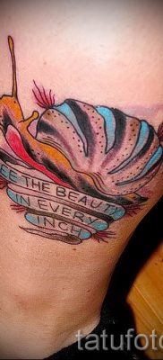 csigatetoválás fotó - egy példa a tetoválásra a tetoválás jelentését bemutató cikkhez - tatufoto.ru - 46