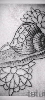 csigatetoválás fotó - példa a tetoválásra a tetoválás jelentését bemutató cikkhez - tatufoto.ru - 40