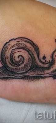 csigatetoválás fotó - egy példa a tetoválásra a tetoválás jelentését bemutató cikkhez - tatufoto.ru - 36
