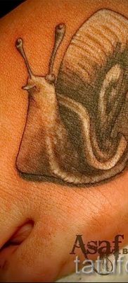 csigatetoválás fotó - egy példa a tetoválásra a tetoválás jelentését bemutató cikkhez - tatufoto.ru - 35