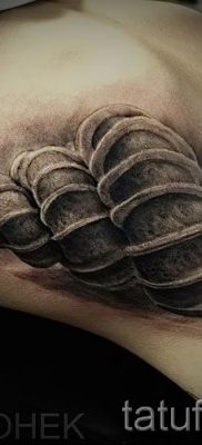 csigatetoválás fotó - egy példa a tetoválásra a tetoválás jelentését bemutató cikkhez - tatufoto.ru - 31