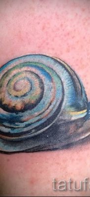csigatetoválás fotó - példa a tetoválásra a tetoválás jelentését bemutató cikkhez - tatufoto.ru - 30