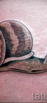 csigatetoválás fotó - példa a tetoválásra a tetoválás jelentését bemutató cikkhez - tatufoto.ru - 29