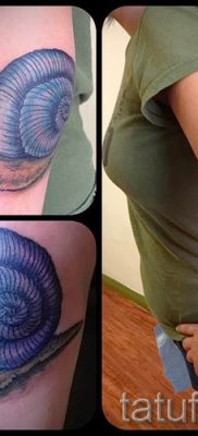 csigatetoválás fotó - egy példa a tetoválásra a tetoválás jelentését bemutató cikkhez - tatufoto.ru - 28