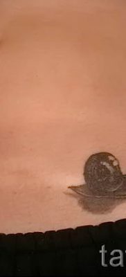 csigatetoválás fotó - egy példa a tetoválásra a tetoválás jelentését bemutató cikkhez - tatufoto.ru - 27