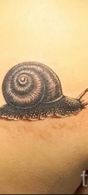 csigatetoválás fotó - példa a tetoválásra a tetoválás jelentését bemutató cikkhez - tatufoto.ru - 22