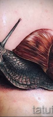 csigatetoválás fotó - egy példa a tetoválásra a tetoválás jelentését bemutató cikkhez - tatufoto.ru - 15