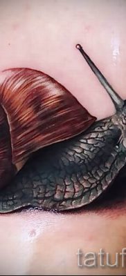 csigatetoválás fotó - egy példa a tetoválásra a tetoválás jelentését bemutató cikkhez - tatufoto.ru - 12