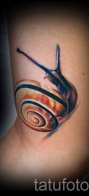 csigatetoválás fotó - egy példa a tetoválásra a tetoválás jelentését bemutató cikkhez - tatufoto.ru - 9