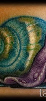 csigatetoválás fotó - egy példa a tetoválásra a tetoválás jelentését bemutató cikkhez - tatufoto.ru - 6
