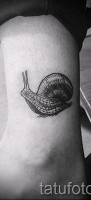 csigatetoválás fotó - példa a tetoválásra a tetoválás jelentését bemutató cikkhez - tatufoto.ru - 5
