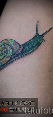 csigatetoválás fotó - példa a tetoválásra a tetoválás jelentését bemutató cikkhez - tatufoto.ru - 4