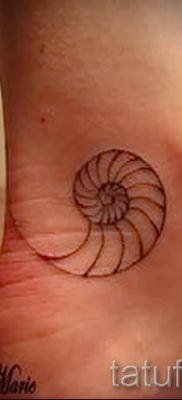 csigatetoválás fotó - egy példa a tetoválásra a tetoválás jelentését bemutató cikkhez - tatufoto.ru - 2