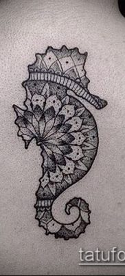 Снимка на татуировка с шарка - 18072017 - пример - 011 Татуировка с шарка