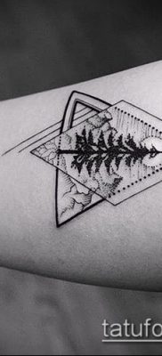 Снимка на татуировка с шарка - 18072017 - пример - 032 Татуировка с шарка