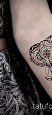 Снимка на татуировка с шарка - 18072017 - пример - 033 Татуировка с шарка