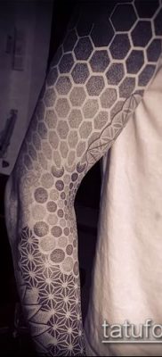 Снимка на татуировка с шарка - 18072017 - пример - 039 Татуировка с шарка