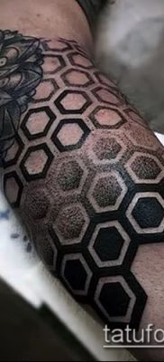 Снимка на татуировка с шарка - 18072017 - пример - 049 Татуировка с шарка