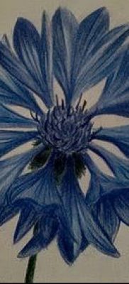 fénykép egy búzavirág tetoválásról (érték) - példa rajz - 012