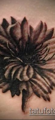 fénykép egy búzavirág tetoválásról (érték) - példa egy rajzra - 009