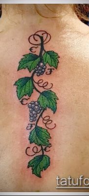 Снимка на татуировка на грозде - 20062017 - пример - 004 Tattoo grapes_