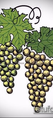 Снимка на татуировка на грозде - 20062017 - пример - 024 Tattoo grapes_