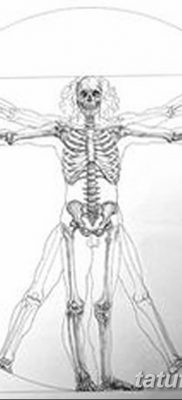 fotó tetoválás vitruvi férfi kelt 2017.12.07. №030 - vitruvi férfi tetoválás - 2323434211