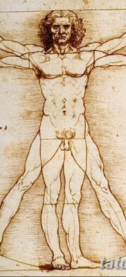 fotó tetoválás vitruvi férfi kelt 2017.12.07. №062 - vitruviai férfi tetoválás -