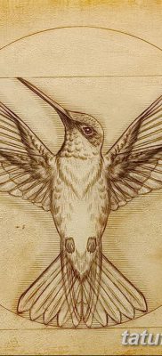 fotó tetoválás vitruvi férfi kelt 2017.12.07. №063 - vitruviai férfi tetoválás -