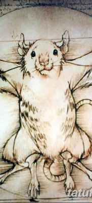 fotó tetoválás vitruvi férfi kelt 2017.12.07. №140 - vitruviai férfi tetoválás -