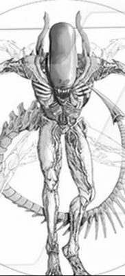 fotó tetoválás vitruvi férfi kelt 2017.12.07. №150 - vitruviai férfi tetoválás -