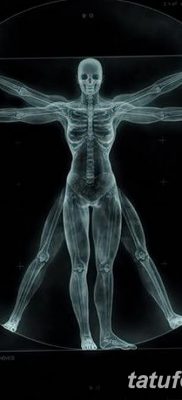 fotó tetoválás vitruvi férfi kelt 2017.12.07. №013 - vitruviai férfi tetoválás -