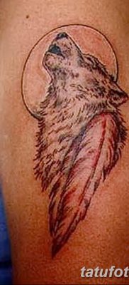 Снимка на татуировка вълк и перо от 21.09.2018 №051 - татуировка вълк и перо -