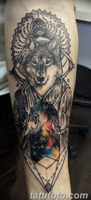 Снимка на татуировка с вълк и пера от 21.09.2018 г. №049 - татуировка вълк и перо -