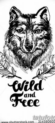 Снимка на татуировка с вълк и пера от 21.09.2018 г. №002 - татуировка вълк и перо -