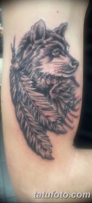 Снимка на татуировка вълк и перо от 21.09.2018 №019 - татуировка вълк и перо -