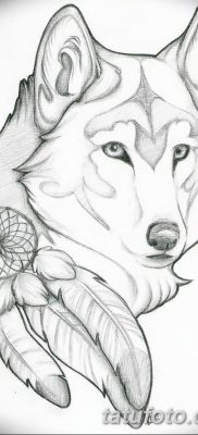 Снимка на татуировка с вълк и пера от 21.09.2018 г. №030 - татуировка вълк и перо -