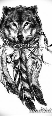 Снимка на татуировка с вълк и пера от 21.09.2018 г. №032 - татуировка вълк и перо -