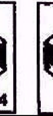 Fotó a tolvajok tetoválásáról - 05062017 - példa - 049 A tolvaj a jogban