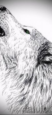 egy üvöltő farkas tetoválásról készült fotó egy üvöltő farkas tetoválás jelentéséről - tatufoto.ru - 5