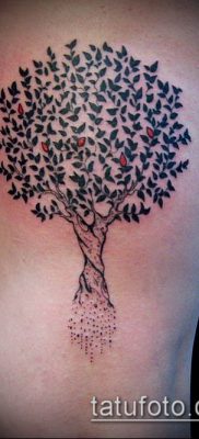 APPLE TATTOO № 749 - a kép exkluzív változata, amely sikeresen használható felülvizsgálatra és tetováló almafaként történő alkalmazásra