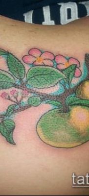APPLE TATTOO No. 781 - a minta érdekes változata, amely könnyen használható almafa tetoválásként történő feldolgozásra és alkalmazásra