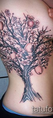 Az APPLE TATTOO # 170 egy rajz klassz változata, amely jól használható az almafa tetoválás átalakítására és alkalmazására