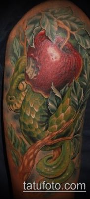 APPLE TATTOO # 932 - a minta exkluzív változata, amely sikeresen használható feldolgozásra és tetováló almafaként történő alkalmazásra