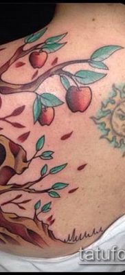 APPLE TATTOO # 304 - a kép hűvös változata, amely könnyen használható felülvizsgálathoz és alkalmazáshoz almafa tetoválásként