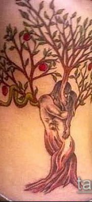 APPLE TATTOO № 740 - a kép exkluzív változata, amely sikeresen használható felülvizsgálatra és alkalmazásra almafa tetoválásként