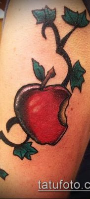 APPLE TATTOO # 960 - a minta méltó változata, amely jól használható változtatásra és almafa tetoválásként történő alkalmazásra